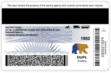 Back Side of BC Driver's Licence
