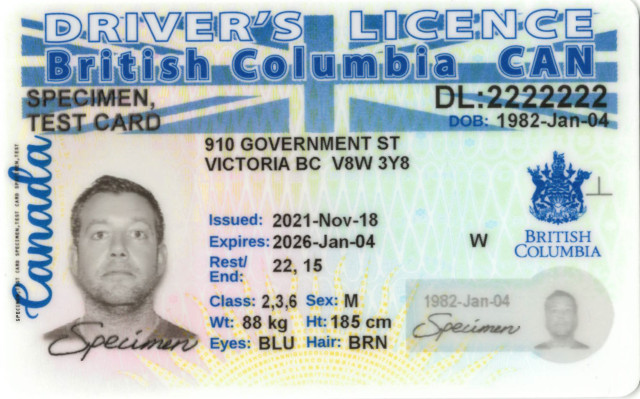 sample image of a BC driver's licence