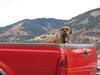 Dogs like to ride in a Pickup Box