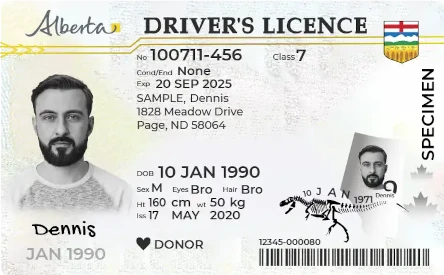 image of Alberta learner's licence