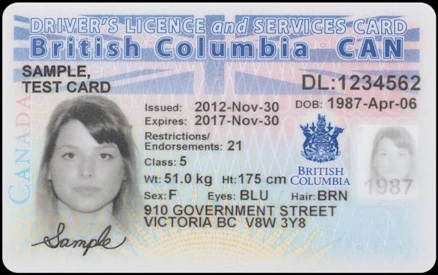 image of a sample BC driver's licence