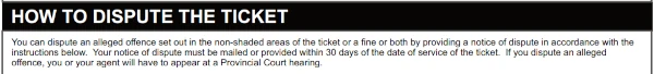 image of ticket dispute instructions