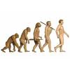 Evolution