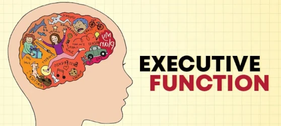 executive function image