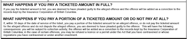 image of conviction advice on traffic ticket