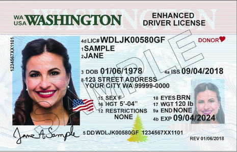 image of washington state driver's licence