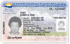 Enhanced BC Driver's Licence